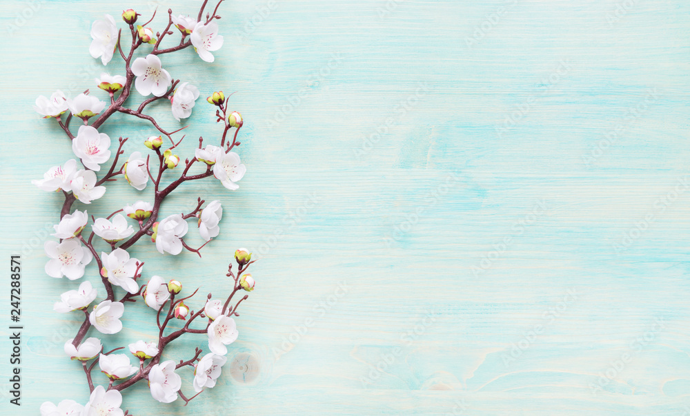 Fototapeta White flowers on blue wooden background