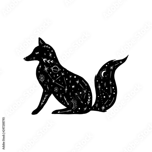 Vector patterned polar fox, moon and stars, space constellations. Beautiful onamental animal print, Northern Lights photo