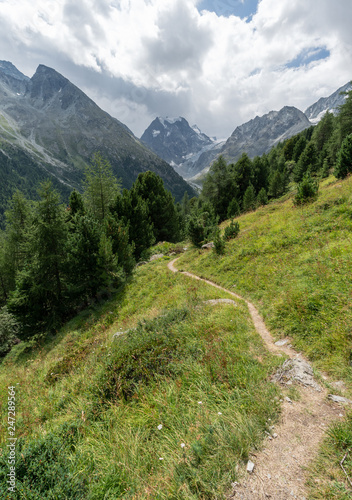 Path towards mountains.