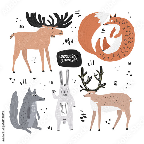 Woodland animals hand drawn flat illustrations set