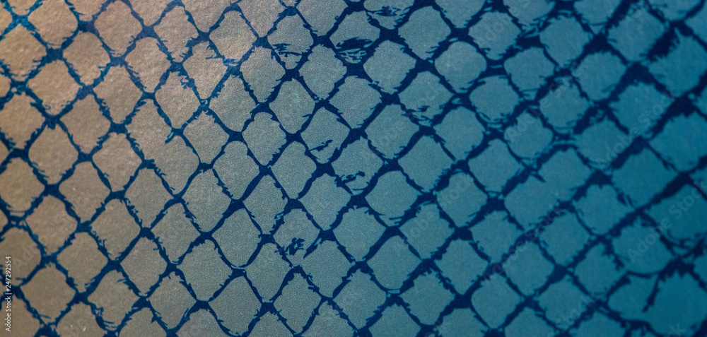 snake skin