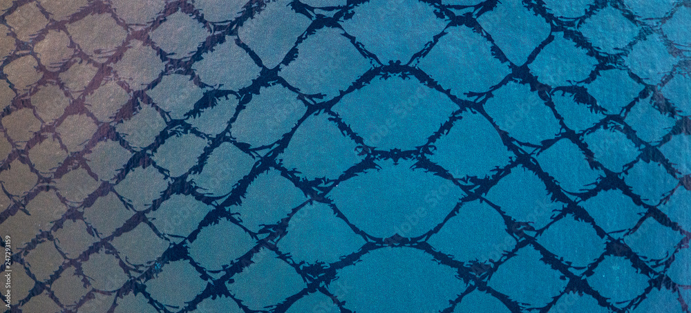 Fototapeta premium snake skin