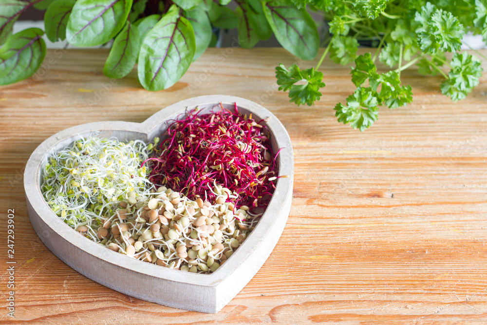 Vegetable sprouts and herbs in the heart healthy life style and alternative medicine concept Vegetable sprouts and herbs in the heart healthy life style and alternative medicine concept