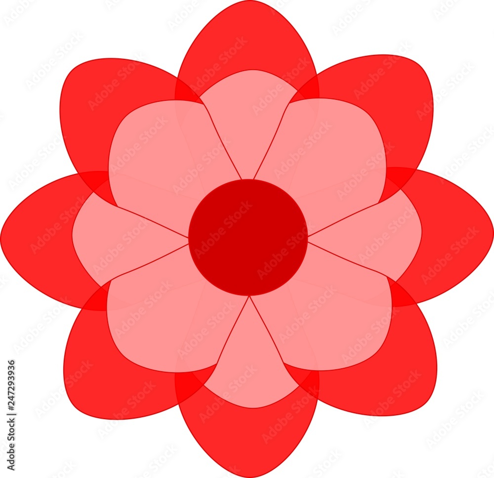 red flower isolated on white background