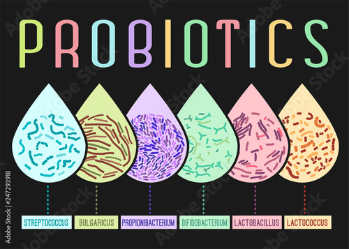 Probiotics Types Poster