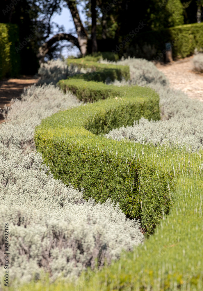 Obraz premium the gardens of the Jardins de Marqueyssac in the Dordogne region of France