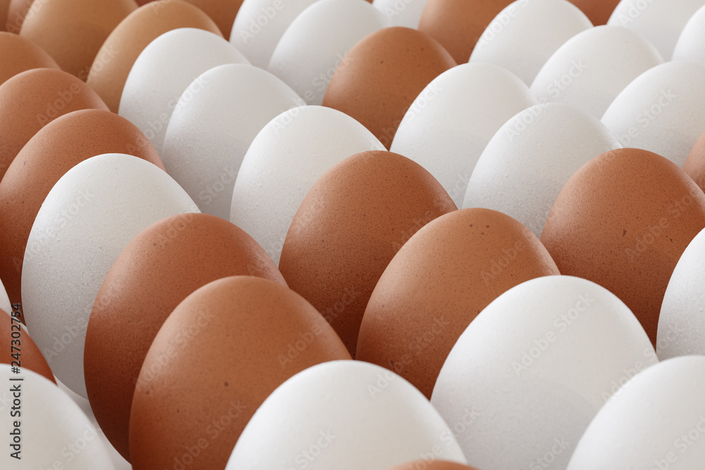 Eggs in perspective view without background