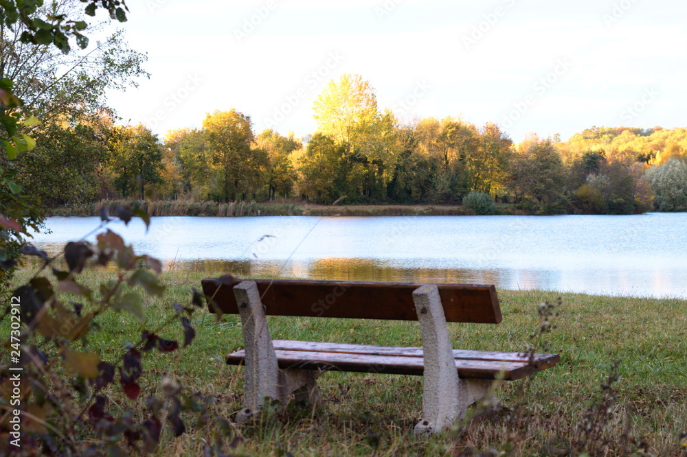 Fototapeta premium Le banc