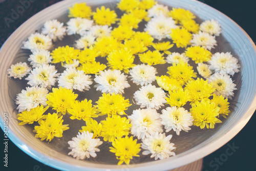 Many flowers float in pots ...