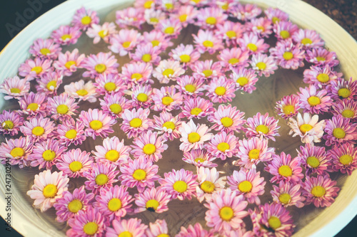 Many flowers float in pots ...