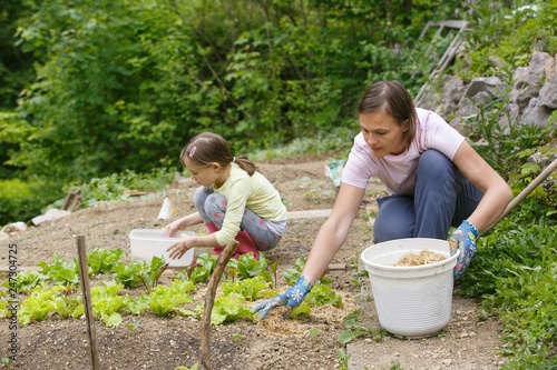Mother and daughter working in the vegetable garden © zlikovec