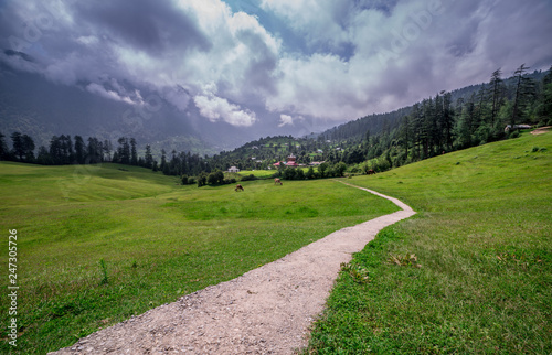 Green meadows in himalayas, Great Himalayan National Park, Sainj Valley, Himachal Pradesh, India