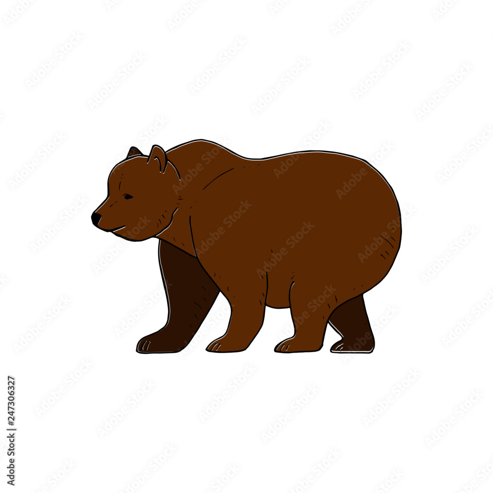 Bear vector drawing, hand drawn picture of a big brown bear, vector illustration isolated on white background for your design