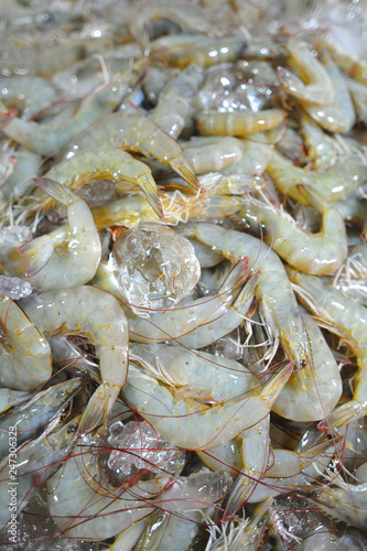 The fresh shrimp in thailand market.