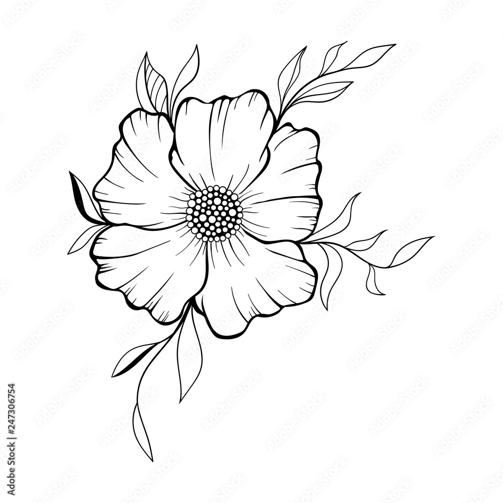 Hand drawn floral doodle background. Decorative flower for your design. Can be used for coloring page. Ideas for tattoo.