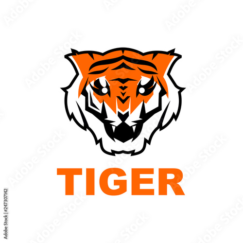 Tiger logo design vector template © dimensi design