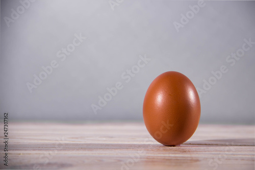 One brown chicken egg on a light background
