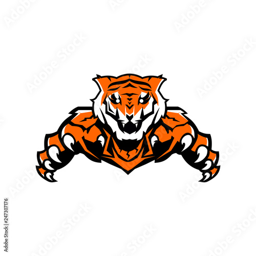 Tiger logo design vector template