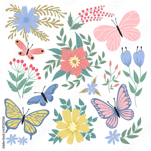 Butterflies and flowers. Hand drawn vector summer and spring collection. Illustration of summer butterfly and colored flower