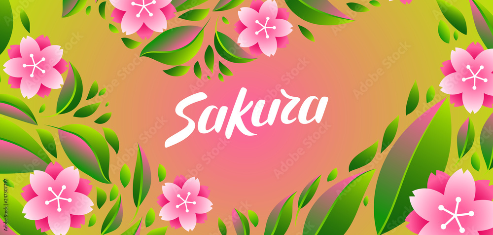 Background with sakura or cherry blossom.
