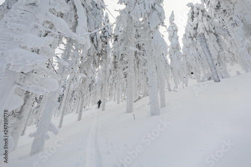 Fototapeta Naklejka Na Ścianę i Meble -  Winter skitour trekking Beskidy mountains