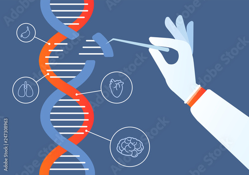 Dna engineering. Genome crispr cas9, gene mutation code modification. Human biochemistry and chromosomes research vector concept. Illustration of gene engineering, mutation code genetic photo