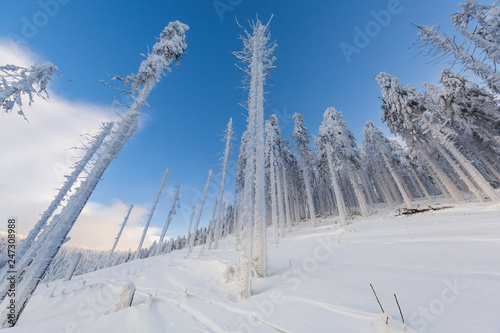 Fototapeta Naklejka Na Ścianę i Meble -  Winter skitour trekking Beskidy mountains