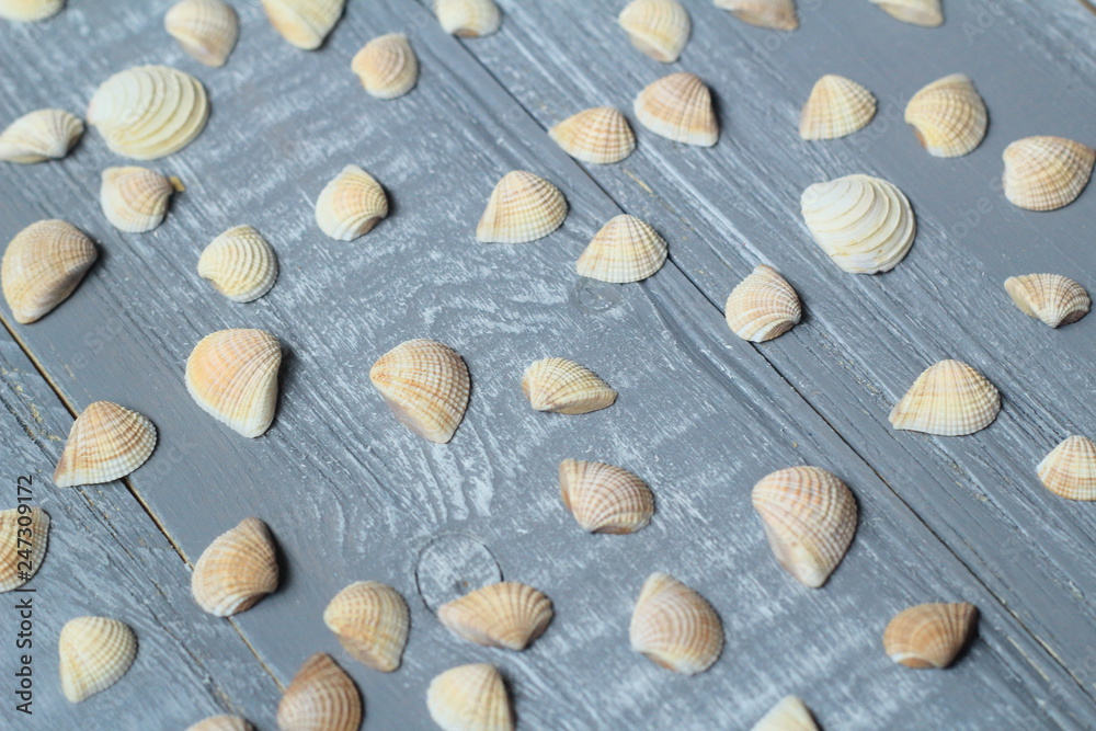 lots of small seashells on light wooden background lots of small seashells on light wooden background