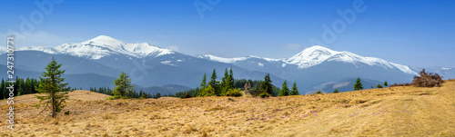 Wide panorama alpine pasture in the Carpathian mountains against the backdrop of a snow-covered mountain ridge and the highest peak Goverla