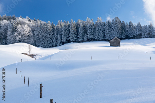 Winterlandschaft Rorschacherberg