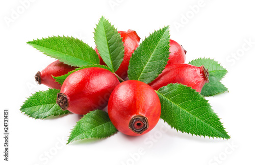 Rosehip. Berries with leaves isolated on a white background. photo
