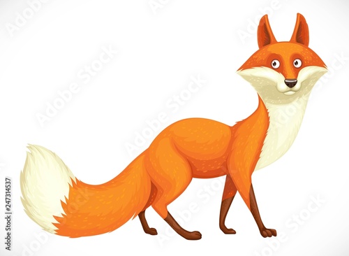 Cute wild cartoon orange fox going forward isolated on white background