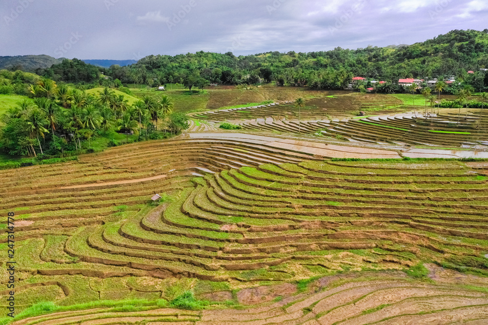 Rice terraces in the Philippines. Rice cultivation in the North of the Philippines, Batad, Banaue. Rice terraces in the Philippines. Rice cultivation in the North of the Philippines, Batad, Banaue.