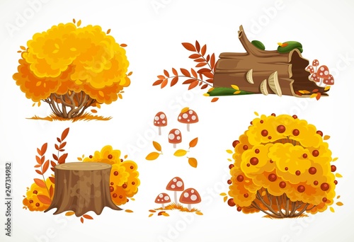 Set of autumn yellow bushes and stumps with fly agarics isolated on white background