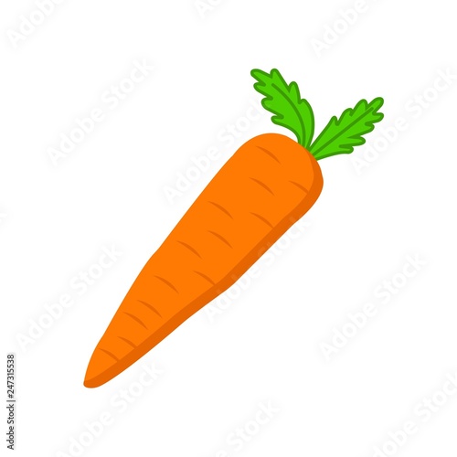 Flat icon orange carrot isolated on white background. Vector illustration.