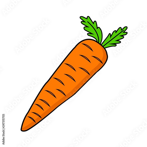 Flat icon orange line carrot isolated on white background. Vector illustration.