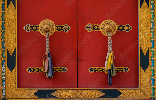 symmetrical colored door