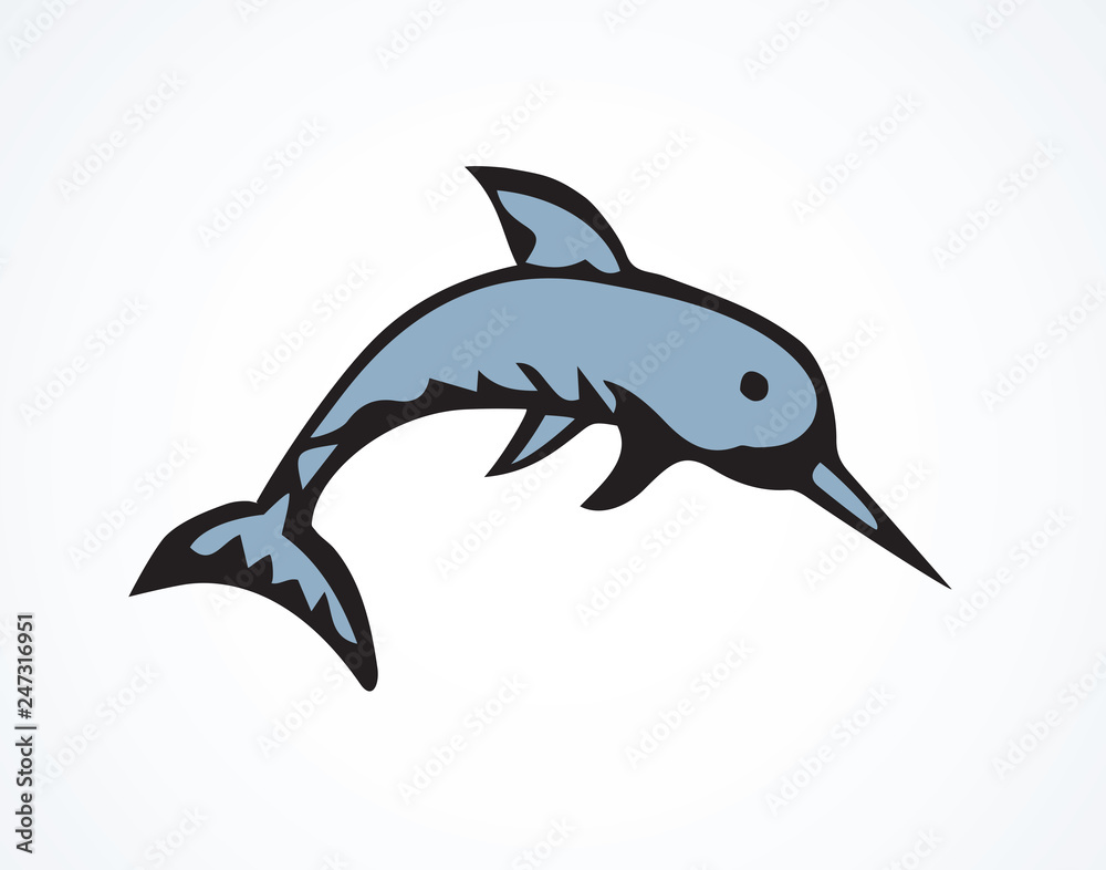 Fototapeta premium Narwhal. Vector drawing