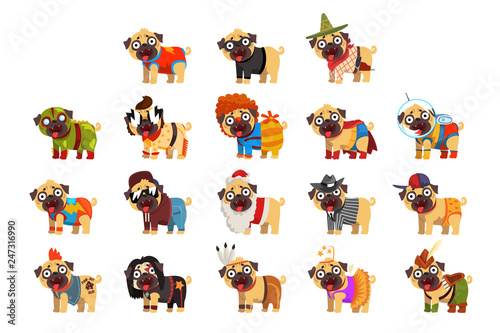 Fototapeta Naklejka Na Ścianę i Meble -  Cute funny pug dog character in colorful funny costumes set, vector Illustrations