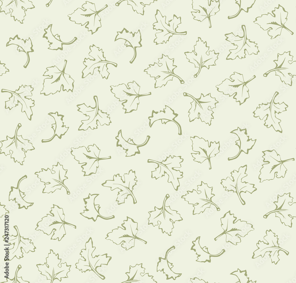 Parsley. Vector background Parsley. Vector background