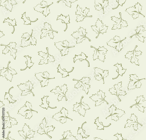 Parsley. Vector background