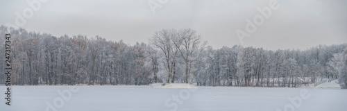 snowy winter forest © Aliaksei