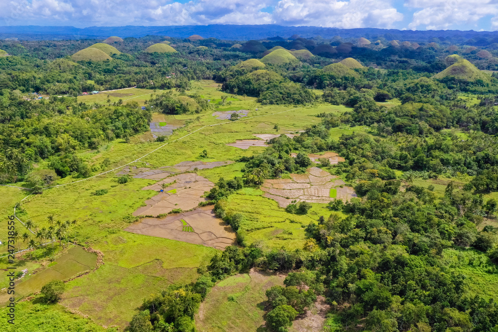 Chocolate hills, Philippines, Bohol island. Aerial view from the drone.