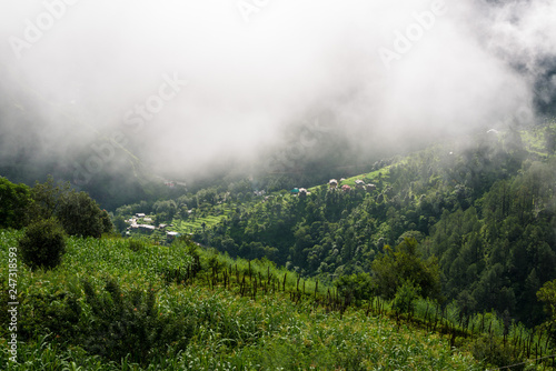 Mountain in the cloud and fog, Himachal