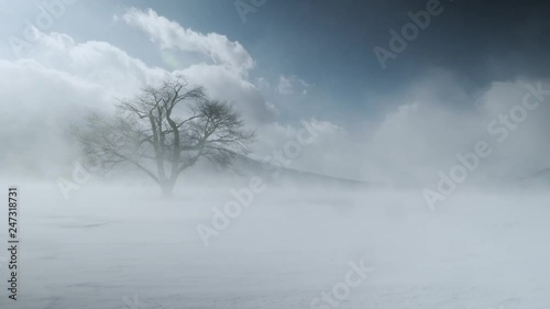 踊るような地嵐 風雪 035 スローモーション 60p 
