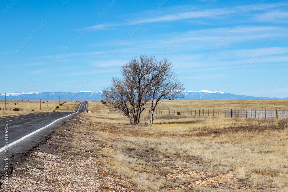 A long road in New Mexico, with snow capped mountains in the distance A long road in New Mexico, with snow capped mountains in the distance