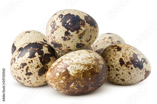 quail egg, isolated on white background, clipping path, full depth of field