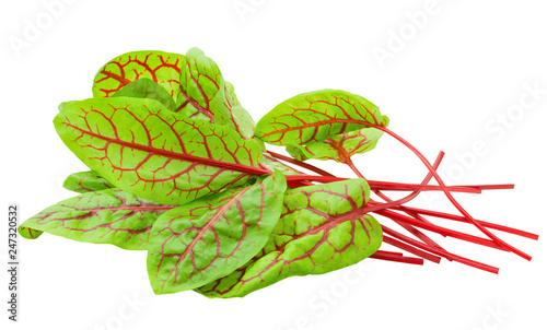 Red veined sorrel leaves on white background, clipping path, full depth of field