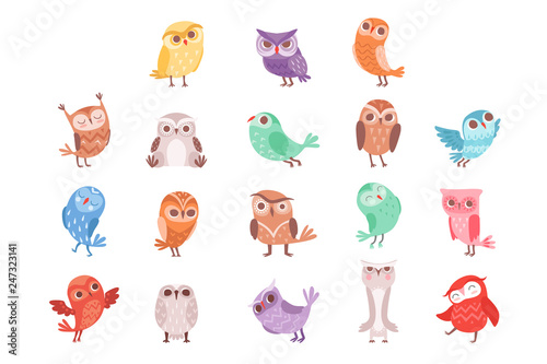 Cute cartoon colorful owls set, lovely owlets vector Illustrations