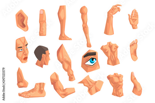 Male body parts set of vector Illustrations on a white background